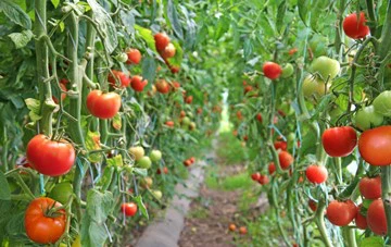 20230421092824 20230421092824