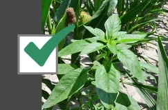 Upotrijebite ovaj kontrolni popis od 4- koraka za 97%-tnu kontrolu vodene kon...