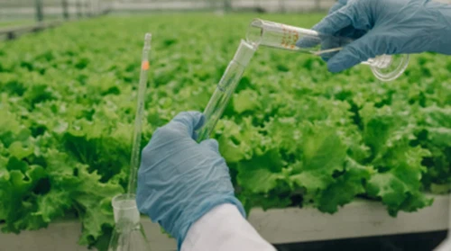 Industrija gnojiva prelazi na integrirane agronomske sustave, dalje od samost...