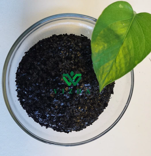 product-525-540 product-525-540