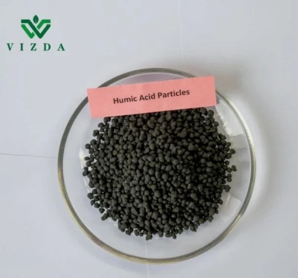 Supplements Natural Fertilizer Granular 45% Humic Acid
